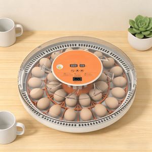 Incubateur automatique pour 30 œufs, contrôle numérique de la température et de <span class=keywords><strong>l</strong></span>'humidité, machine d'éclosion des œufs de volaille pour poulets, canards, cailles - Product Image 2