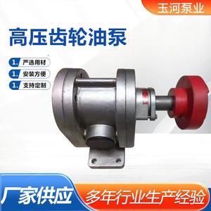 Bomba Hidráulica Autocebante de Alta Viscosidad, Bomba de Engranajes de Acero Inoxidable de Alta Presión para Aceite, Bomba de Engranajes Autocebante para Aceite de Alta Viscosidad - Product Image 5