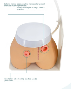 เครื่องมือจำลองการสอนและหุ่นจำลองสำหรับการฝึกวิทยาศาสตร์ทางการแพทย์ - Product Image 6