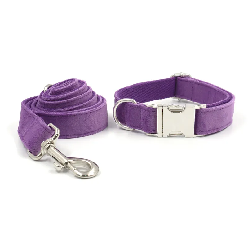 Heyri pet supplies velvet dog leash bow tie factory best price high end dog collars puppy training collars soft purple