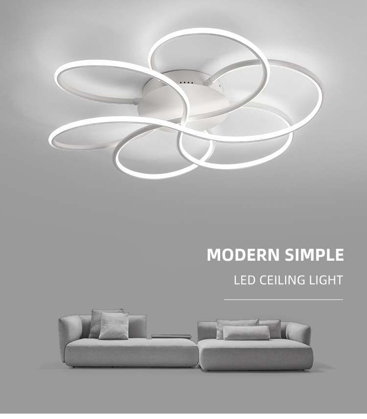 Fashion European Black White Dining Room Ceiling Flush Mount Bedroom Modern Led Ceilign Lamp