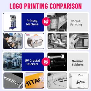 Livraison rapide, Stockage en stock, Petit Animal, Approuvé par compagnie aérienne, PP Pet Carrier, Motif solide, <span class=keywords><strong>Valise</strong></span> <span class=keywords><strong>pour</strong></span> an - Product Image 5