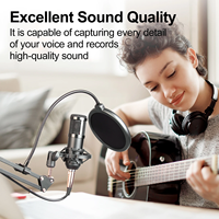 Microphone de Jeu Professionnel Biner A11 Tendance sur TikTok pour PC, Microphone USB à Condensateur pour Enregistrement en Studio