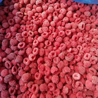Hoge Kwaliteit Gevriesdroogde Frambozen Zoete Geproefde Fd Fd Fruit Uit China Leverancier Bulkverpakking