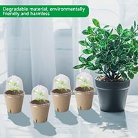 Biodégradable 3.1 \ "Pots De Pépinière De Plantes Humidité Dôme Pots De Tourbe Semis Jardin Légumes Fleur Germination