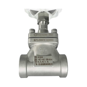 Globo criogénico DJ61F40P DN50 para almacenamiento a granel de GNL, LO2, LN2, LAr, CO2, Globo criogénico DJ-50GN - Product Image 2