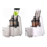 2025 Nieuwe Commerciële Automatische Multifunctionele Koude Pers Fruit Slowjuicer