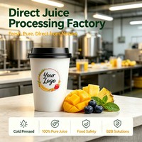 Klaar om te drinken fruitdrank op maat: kokos, guave, abrikoos, kers, moerbei, pitaya, durian, limoen, papaja sap.