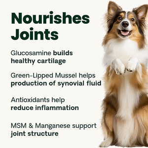 Suplemento para la Reparación de Articulaciones en Perros, Clínicamente Probado, Extra Fuerte, para Caderas y Articulaciones Saludables, Masticables Suaves con Mejillón de Labio Verde, 120 Unidades, Sabor a Pollo - Product Image 4