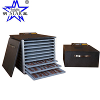 220V Thuisgebruik Mini Fruit Dehydrator 10 Trays Voedseldroger