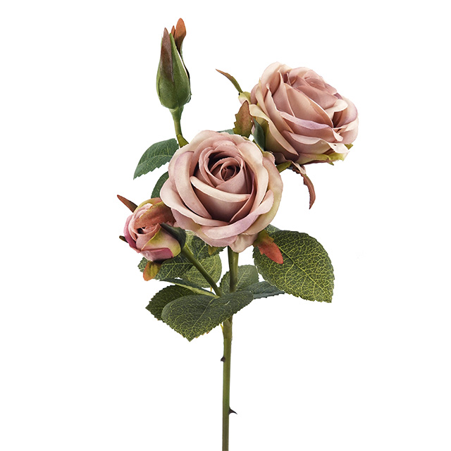 Mauve Beige