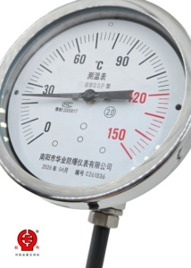 Industrielles Explosionsgeschütztes Wasserdichtes Bimetall-Thermometer Pt100 RTD Fernübertragung Edelstahl IP55 Temperaturmessgerät - Product Image 2