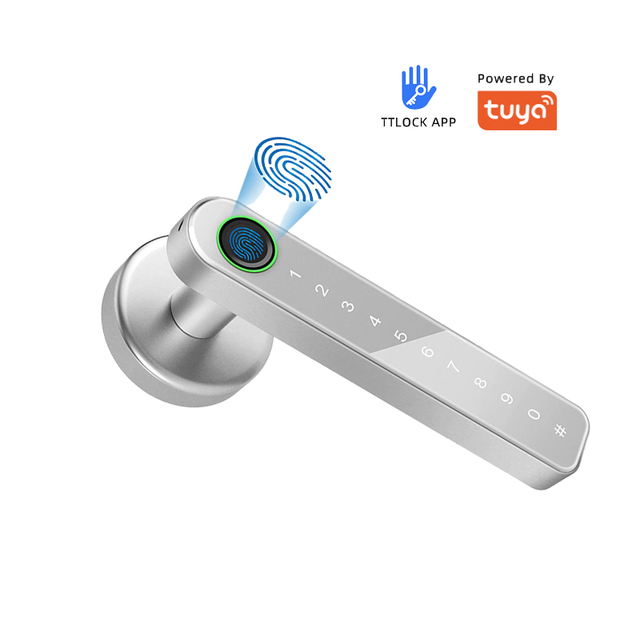 Smart Digital Wireless Cheap Home Furniture Biometric Tuya Smart Fingerprint Door Lock Ttlock App Control to Unlock the Door