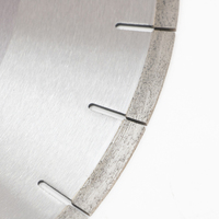Lame de scie diamantée de 300 mm avec fentes en forme de goutte d'eau, coupe précise et stable pour le porcelaine Supernano Nanoglass