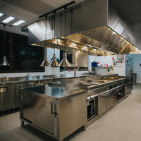 Équipement de cuisine commerciale chinoise en acier inoxydable, 2 pièces, projet de cuisine d'hôtel