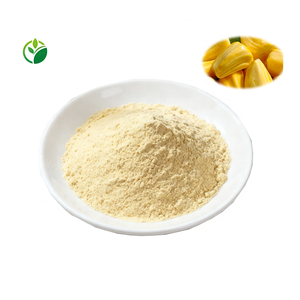 100%天然高品質ジャックフルーツ種子エキス粉末 ジャックフルーツ種子粉末 オーガニック食品グレード ジャックフルーツ粉末 果実エキス - Product Image 2