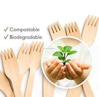 Ensemble de couverts jetables écologiques en bois de bouleau classique, biodégradables et compostables, pour les fêtes et la restauration