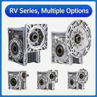 Reducer Worm Gear Nmrv, Reducer Turbin Kecil RV 30 40 50 63 75 90 110 130 Pemasangan Vertikal Non-Standar Kustom