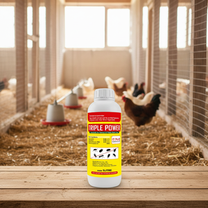 <span class=keywords><strong>Insecticida</strong></span> Kenvos Triple Power 17.7% EC |   Cipermetrina Tetrametrina PBO |   Mata <span class=keywords><strong>Mosquitos</strong></span> <span class=keywords><strong>y</strong></span> <span class=keywords><strong>Moscas</strong></span> <span class=keywords><strong>para</strong></span> el Hogar <span class=keywords><strong>y</strong></span> la Salud Pública - Product Image 5