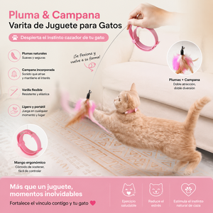 Jouet pour chat Pluma & Campana avec plumes naturelles et clochette, bâton léger et flexible pour jouer en intérieur - Product Image 1