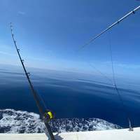Canne en fibre de carbone personnalisée de haute résistance pour la pêche à la traîne à action rapide sur le lac mât télescopique pour bateaux de pêche