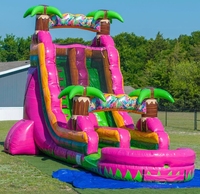 Nieuw Ontwerp Dubbele Glijbaan Opblaasbaar Waterkasteel Outdoor Draak Fruit Gekleurde Palmboom Met Zwembad Te Koop