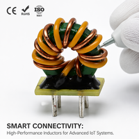 High Performance Toroidal Common Mode Choke Ultra-Low EMI Radiation Filter for Medical and Audio Equipment