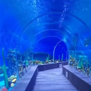 Acuario de Acrílico para Peces, Túnel Submarino, Super Grueso de 400 mm, Resistente al Agua y a las Infiltraciones - Product Image 3