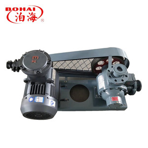 ปั๊มสุญญากาศ BOHAI YPB50 OEM 8 แรงม้า สำหรับอุตสาหกรรม ป้องกันการระเบิด กำลังไฟ 3 กิโลวัตต์ แรงดัน 0.4 เมกะปาสคาล - Product Image 2