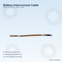 Câble d'interconnexion de batterie à courant élevé, câble orange avec bornes à anneau pour pack de batteries