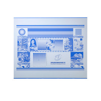 Plaque CTcP Plaques d'impression offset Plaques positives de couleur bleu clair avec développeurs