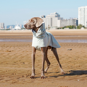 Chaqueta <span class=keywords><strong>Impermeable</strong></span> para Mascotas, Estilo Nuevo, Cómoda, Deportiva, con Diseños Elegantes para Perros, Chaleco de Lujo para Dachshunds - Product Image 5