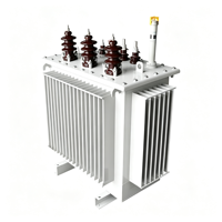 Transformateur de distribution triphasé immergé dans l'huile pour usage agricole et parcs industriels, 50KVA, 80KVA, 100KVA, 125KVA, 6kV, 10kV