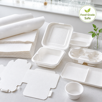 Papier de canne à sucre écologique pour emballage de pots de pépinière, cartes d'entretien des plantes, marqueurs d'herbes, étiquettes de semences, papier de bagasse de canne à sucre naturel en vrac