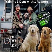 Kleines bis mittelgroßes Hunde-Bellkontroll-Trainingshalsband, IP67 wasserdicht, wiederaufladbar, Vibration, Piepton, stoßfrei, 20 Stunden Akkulaufzeit, Kunststoff
