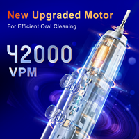 CE ROHS FDA FCC OEM/OBM Brosse à dents électrique sonique sans fil rechargeable 42000VPM 3 modes * 3 intensités IPX7 Haute technologie