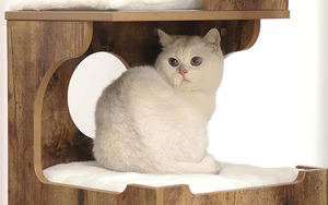 Speedypet Árvore Do Gato de Madeira Para Animais de Estimação, Moderno Em Madeira De Luxo Gato Árvore de Escalada Atacado made in china madeira da árvore do gato, peças personalizadas da árvore do gato - Product Image 5