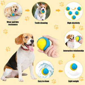 Interaktif köpek oyuncaklar Squeak diş temizleme Pet köpek çiğnemek oyuncak dayanıklı köpek çiğnemek oyuncak - Product Image 2