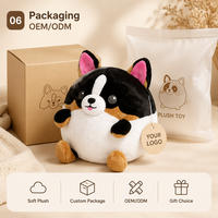 Peluche chien Corgi mignon en coton PP, jouet anti-stress, emballage personnalisé, logo, cadeau, faible MOQ, service OEM ODM, le meilleur