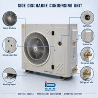 Koelcelvriezer Koelunit Copeland Compressor Motor Luchtgekoeld voor Supermarkt Restaurant Fruit Groente Opslag