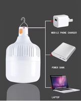Ampoule LED de haute qualité à longue durée de vie pour l'extérieur 50W 2400mAh avec charge Type-C