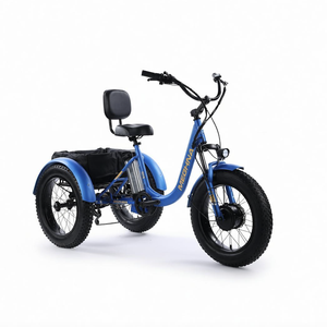 Tricycle électrique à pneus larges 20" * 4.0", 48V 500W, traction avant, 7 vitesses, frein à disque hydraulique - Product Image 1