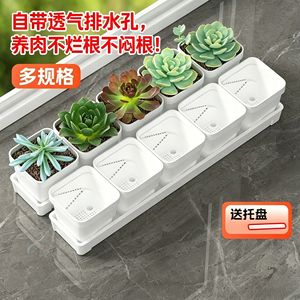 Pots à fleurs succulentes Qinfeng, ensemble blanc, petits pots en plastique avec plateau de drainage pour la décoration intérieure et le jardinage - Product Image 2