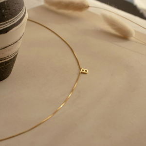 Collar de Acero Inoxidable con Letra Personalizada DIY, Chapado en Oro de 14K PVD, Cadena de Caja de Acero de Titanio, Dropshipping - Product Image 4