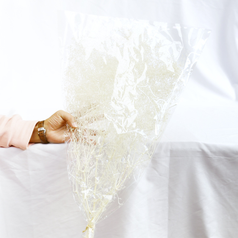 Wholesale Preserved Millions Star Flower Gypsophila