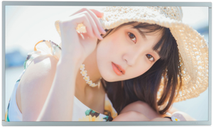 Módulo de Pantalla Industrial BOE DV215FHM-R01 de 21.5 Pulgadas, 350nits, ADS IPS LVDS, Larga Vida Útil, Multi-escena - Product Image 5