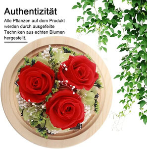 Fábrica al por mayor Every Love A Grade Flores decorativas Rosa preservada Luz para siempre Rosa eterna con cúpula de vidrio para el <span class=keywords><strong>Día</strong></span> de la madre - Product Image 5