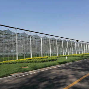 Chine <span class=keywords><strong>Jardin</strong></span> utilisé agriculture <span class=keywords><strong>verre</strong></span> vert maison <span class=keywords><strong>serre</strong></span> à ossature <span class=keywords><strong>en</strong></span> acier à vendre - Product Image 1