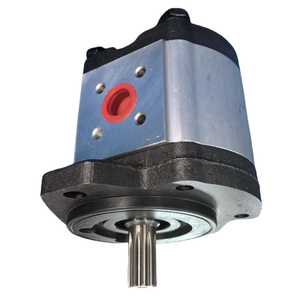 1PF2G2-4X/016RC20MB 1PF2G240-016RC20MB External Gear <b>Pump</b> 1/4 Inch Connection 100 <b>Bar</b> 0.5 HP 0510620005 0510620009 - Product Image 1
