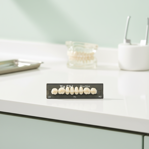 Nuevo Producto Directo de Fábrica ZUNCHI Dentaduras de Alta Calidad Dientes de Resina Sintética para Aplicaciones Dentales - Product Image 4